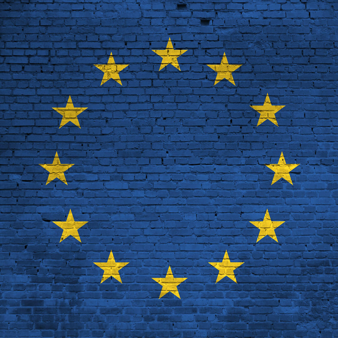 An image of the European Union Logotype - Arctic Legacy