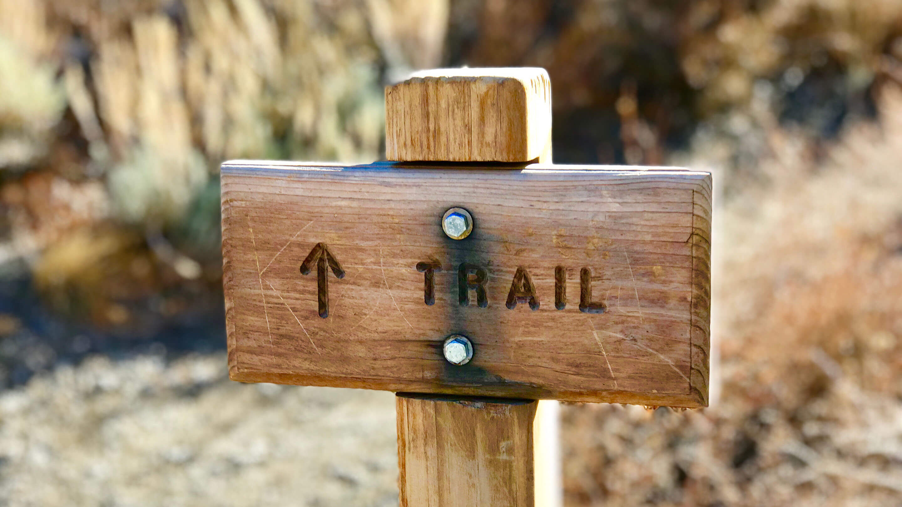 A road sign saying Trail - Arctic Legacy